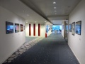Clifford Chance LLP Gallery view1 Photo-Nigel Frank