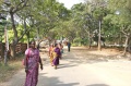 Bindu artists walking to the Bharat Gramodaya Darshan Park at Vivekanandapuram