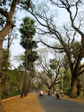 View in Santiniketan