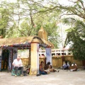 Tone Fink at the temple yard of the school -  2025 by Bindu-Art-School