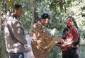 Mr. and Mrs Raman are giving fruits to all the patients.JPG