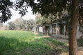 large garden and empty buildings .JPG