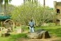 Ramachandran in front of a tree which is his favorit painting motiv