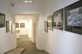 Gallery View