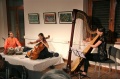 Clasical concert during the exhibition of Bindu Art