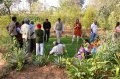 Nice green grass in the kitchen garden at Ramigarh Center