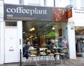 Tea & Coffee Plant Portobello Road