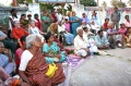 Guests and students at the Bindu Brithday celebration 5