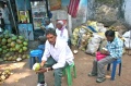 Having a refreshing coconut