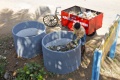 2 people come weekly to clean the containers