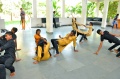 RSO pupils performing for their guests